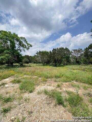 248 WREN CIR, Spring Branch, TX 78070