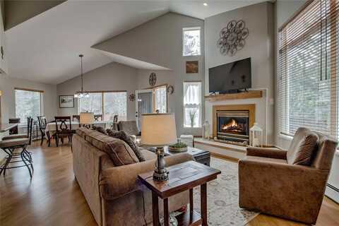 116 BLUE GROUSE LANE, Silverthorne, CO 80498