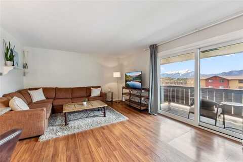 753 STRAIGHT CREEK DRIVE, Dillon, CO 80435
