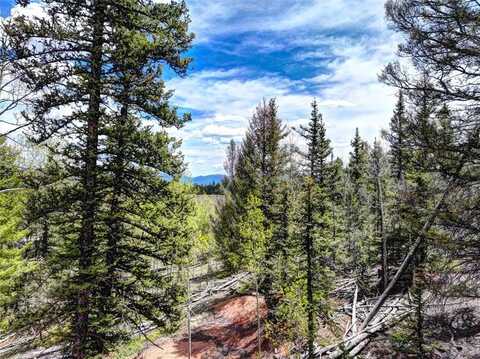 258 OLD SQUAW ROAD, Como, CO 80432