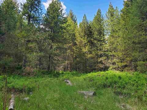 000 N Nicole Ln, Elk, WA 99009