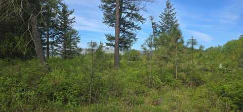 4571 B Williams Valley Rd, Clayton, WA 99110