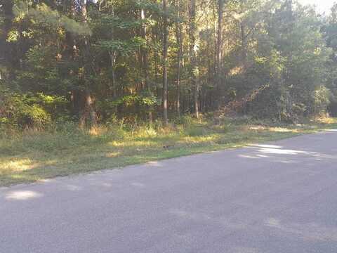 556 Pine, Holly Hill, SC 29059