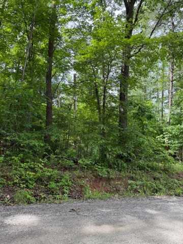 0 E. Pamplin RD, Pamplin, VA 23958