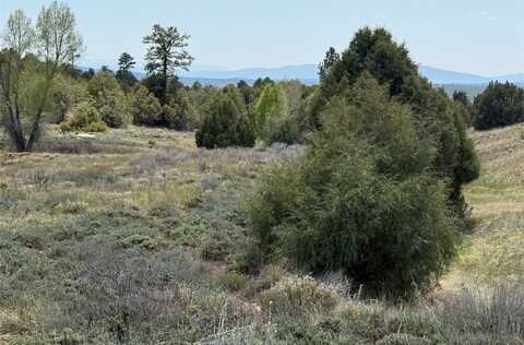 0 Porky Gulch, Chama, NM 87520