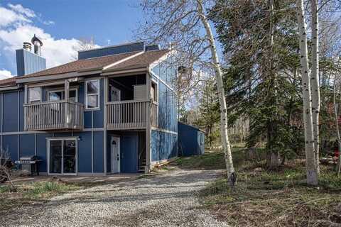 602 RYAN GULCH ROAD, Silverthorne, CO 80498