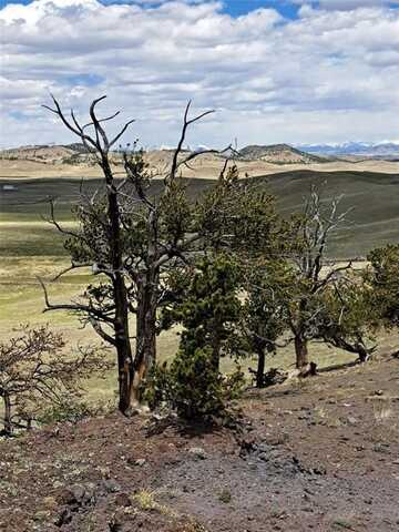 5250 UXTA TRAIL, Hartsel, CO 80449