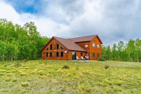 188 JUNE GRASS COURT, Fairplay, CO 80440