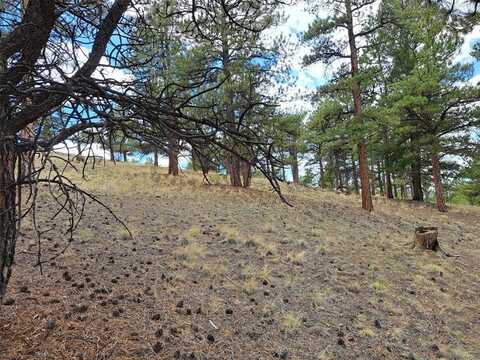0 SPRING STREET, Hartsel, CO 80449