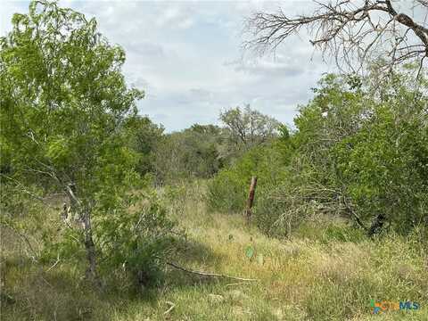 1066 Robertson Road, Smiley, TX 78159