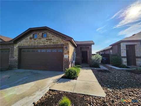 1119 Creekside Orchard, New Braunfels, TX 78130