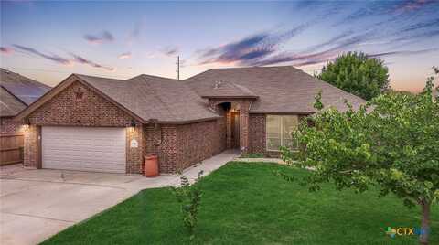 2286 Sun Chase Boulevard, New Braunfels, TX 78130