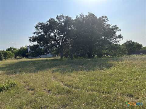 1295 Rainbow Road, Cuero, TX 77954