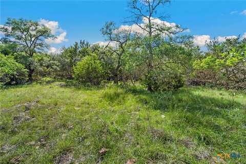 0 TBD, New Braunfels, TX 78132