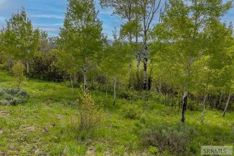 000 Grouse Creek Loop, Freedom, WY 83120
