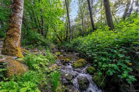 988 Savage Creek Road, Rogue River, OR 97537