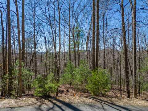 132 Overlook Park Drive, Hendersonville, NC 28792