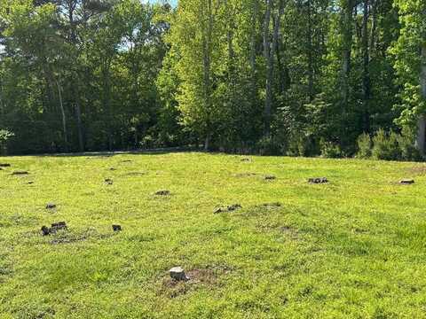 Lot 150 CAPTAINS CORRIDOR, GREENBACKVILLE, VA 23356