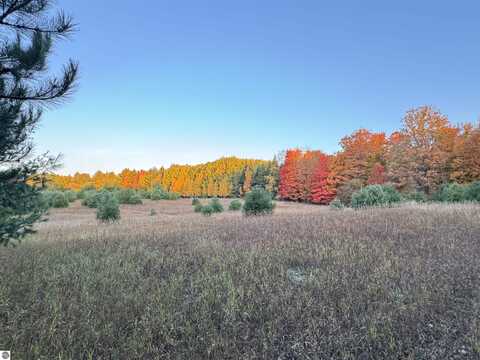 Lot #7 E Bellinger Road, Cedar, MI 49621