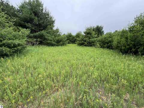 Lot #7 E Bellinger Road, Cedar, MI 49621