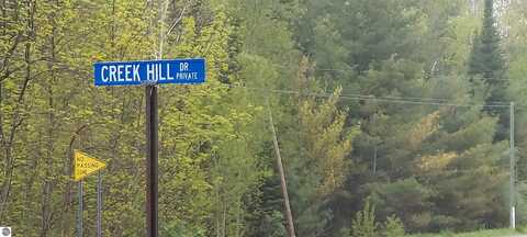#2 Creek Hill Drive, Bellaire, MI 49615