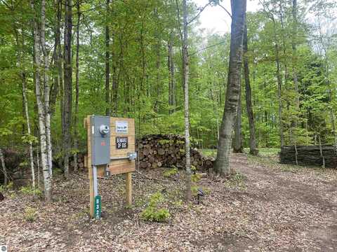 8320 Del Mason Road, Mancelona, MI 49659