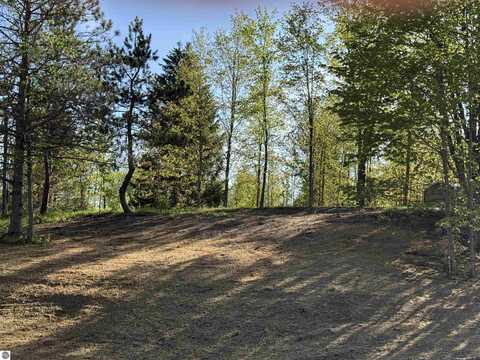 B1 E Solaris Way, Maple City, MI 49664