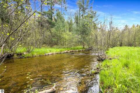 6233 Jesses Trail, South Boardman, MI 49680