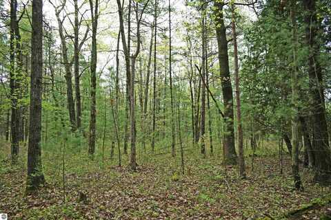 0 Schill Road, East Tawas, MI 48730