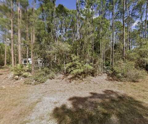 104 Helen Ave, Georgetown, FL 32139
