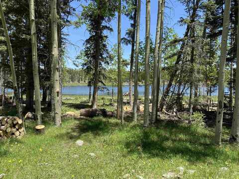 Lot 40 Ab Hidden lake Circle, Angel Fire, NM 87710