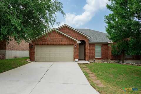 1764 Lower Forty, New Braunfels, TX 78130