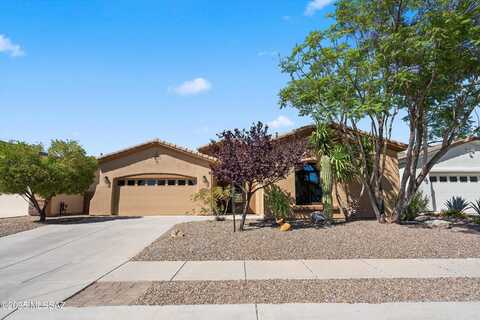 4706 W Cholla Bluff Drive, Marana, AZ 85658