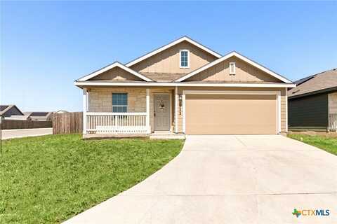 1922 Grey Catbird, New Braunfels, TX 78130