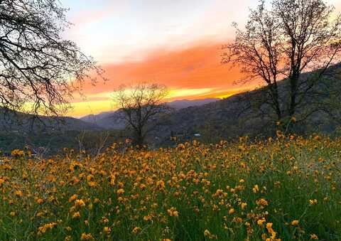 Sierra King Drive, Three Rivers, CA 93271