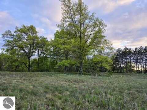 V/L cedar and 12th Street, Evart, MI 49631