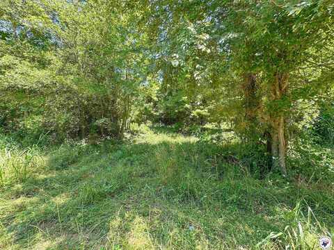 TBD CR 4251, DeKalb, TX 75559