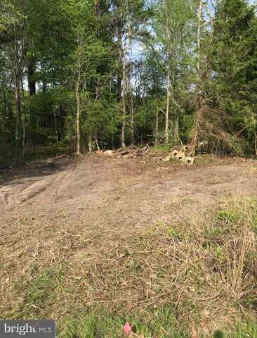 0 CAPITOLA ROAD, TYASKIN, MD 21865