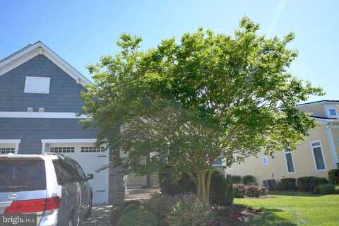 38918 BLUE INDIGO ROAD, SELBYVILLE, DE 19975