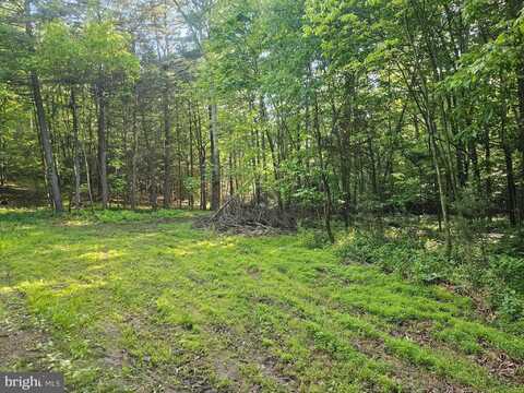 195 KNOTTY PINE ROAD, NEW BLOOMFIELD, PA 17068