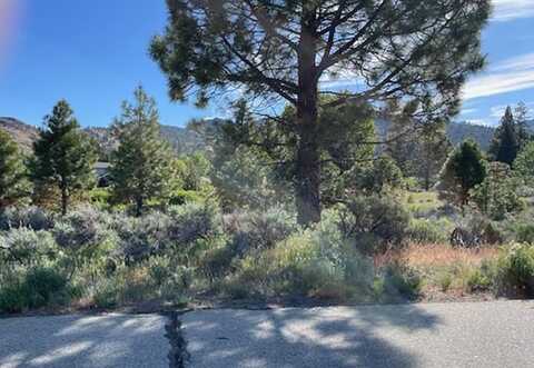 556 Longhorn Drive, Loyalton, CA 96118