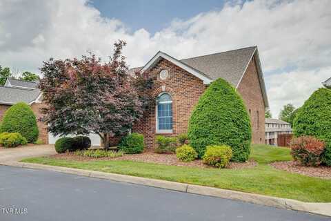 20 Oak Leaf Court, Johnson City, TN 37601