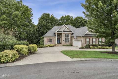 194 Sunset Meadows Court, Gray, TN 37615