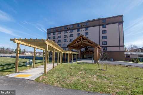 290 MARSH HILL ROAD, MC HENRY, MD 21541
