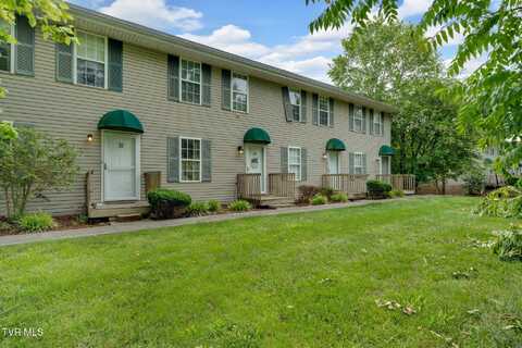 38 Lake Village Court, Johnson City, TN 37601