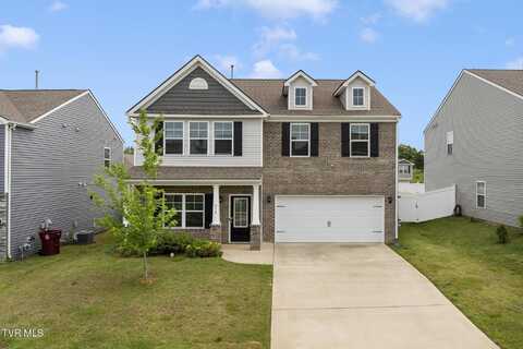 478 Brinkleys Way, Johnson City, TN 37615