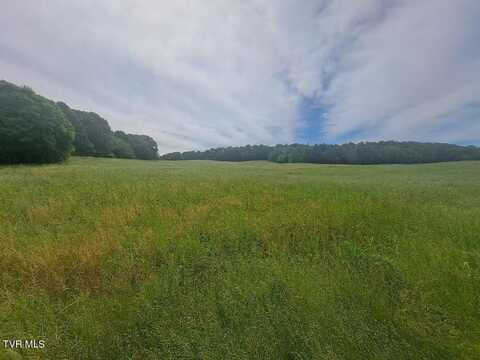 1280 Paul Baskette Road, Limestone, TN 37681
