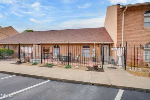 202 Phoenix Court, Kingsport, TN 37663