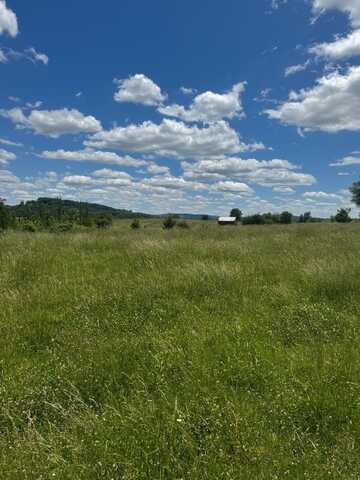 Tract 5 Old Kentucky Road , Hwy 528, Albany, KY 42602