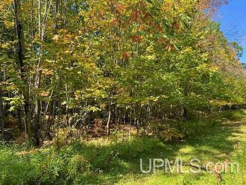 1.77 Acres Maple, Goodman T-WI, WI 54125